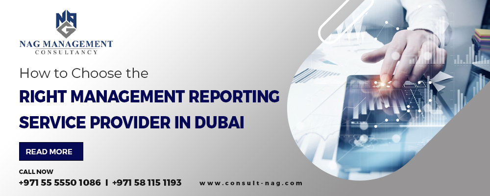 How to Choose the Right Management Reporting Service Provider in Dubai