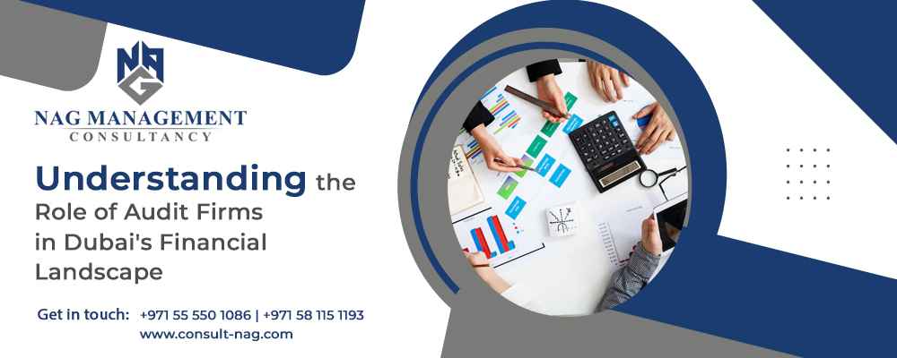 Understanding the Role of Audit Firms in Dubai