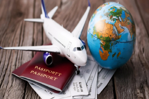 PRO & Visa
                                            Services